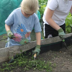 children gardening-howdon community hub