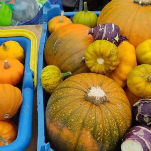 colourful squashes-Patchwork garden-Justice Prince CIC