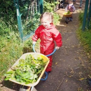 You child in red onesie pushing wheelbarrow full of leaves.